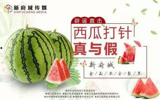 吃瓜网进不去,揭秘背后原因及应对策略