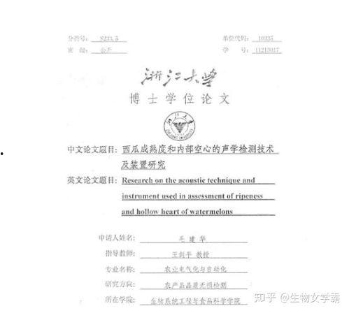 毕业论文吃瓜,揭秘网络舆论背后的心理与社会效应
