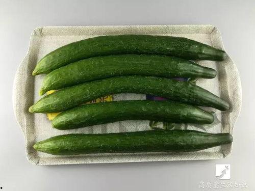 吃隔壁桌的瓜,揭秘生活百态